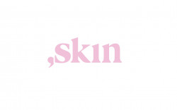 SeoToaster Review - Skin